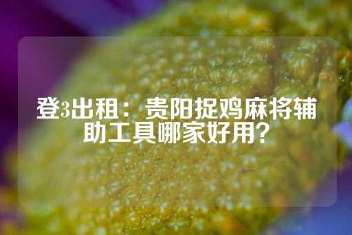 登3出租：贵阳捉鸡麻将辅助工具哪家好用？-第1张图片-皇冠信用盘出租