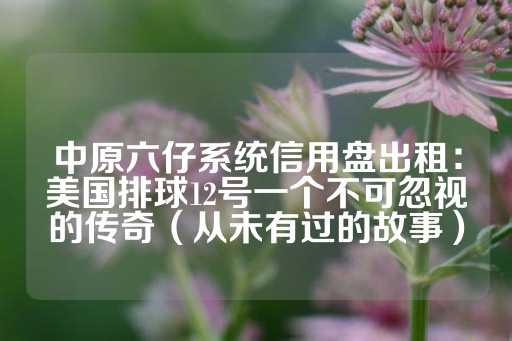 中原六仔系统信用盘出租：美国排球12号一个不可忽视的传奇（从未有过的故事）