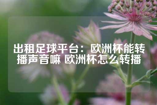 出租足球平台：欧洲杯能转播声音嘛 欧洲杯怎么转播