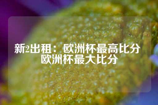 新2出租：欧洲杯最高比分 欧洲杯最大比分