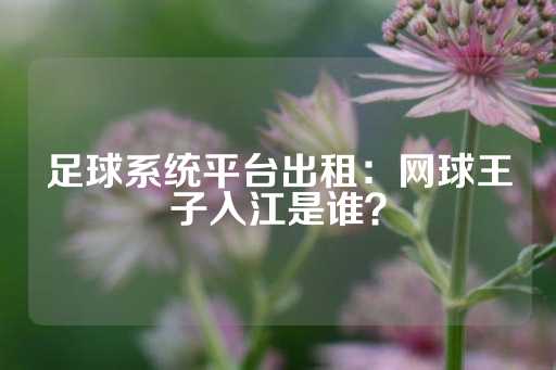 足球系统平台出租：网球王子入江是谁？-第1张图片-皇冠信用盘出租