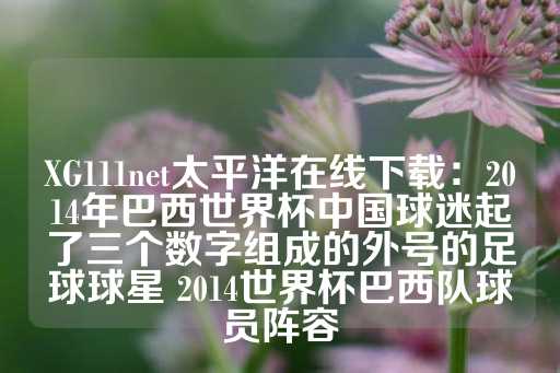 XG111net太平洋在线下载：2014年巴西世界杯中国球迷起了三个数字组成的外号的足球球星 2014世界杯巴西队球员阵容