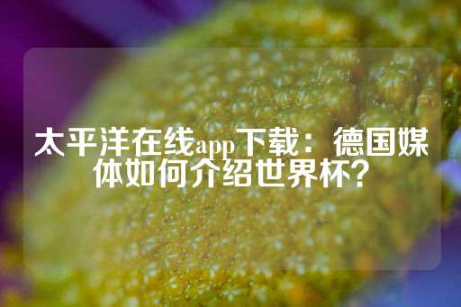 太平洋在线app下载：德国媒体如何介绍世界杯？