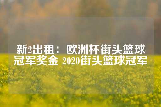 新2出租：欧洲杯街头篮球冠军奖金 2020街头篮球冠军