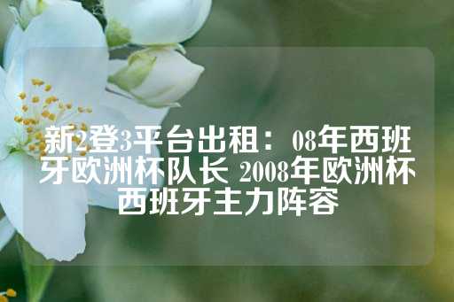 新2登3平台出租：08年西班牙欧洲杯队长 2008年欧洲杯西班牙主力阵容-第1张图片-皇冠信用盘出租