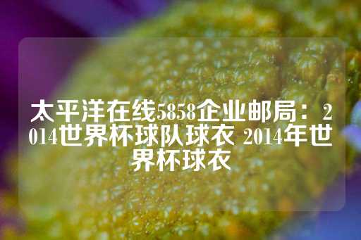 太平洋在线5858企业邮局：2014世界杯球队球衣 2014年世界杯球衣