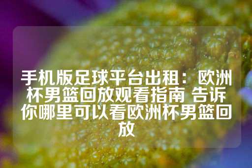 手机版足球平台出租：欧洲杯男篮回放观看指南 告诉你哪里可以看欧洲杯男篮回放