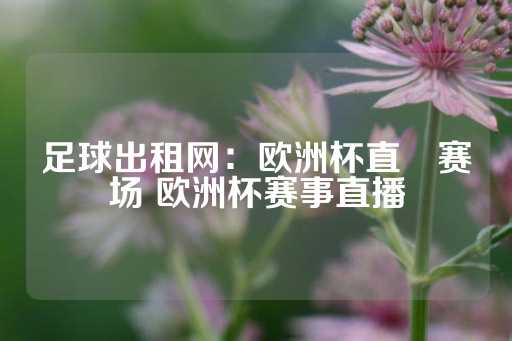 足球出租网：欧洲杯直墦赛场 欧洲杯赛事直播