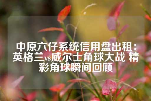 中原六仔系统信用盘出租：英格兰vs威尔士角球大战 精彩角球瞬间回顾