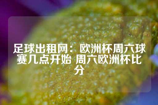 足球出租网：欧洲杯周六球赛几点开始 周六欧洲杯比分-第1张图片-皇冠信用盘出租