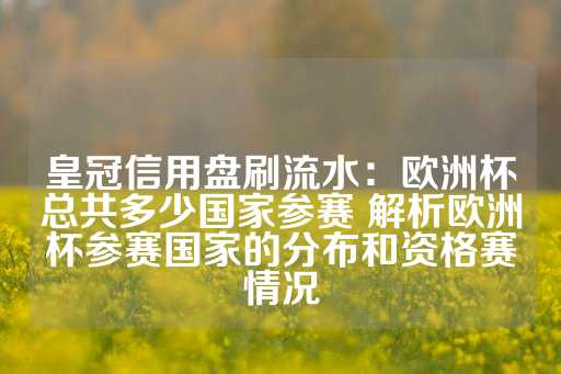 皇冠信用盘刷流水：欧洲杯总共多少国家参赛 解析欧洲杯参赛国家的分布和资格赛情况