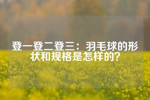 登一登二登三：羽毛球的形状和规格是怎样的？