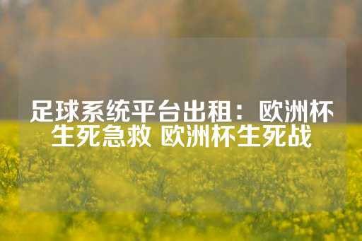 足球系统平台出租：欧洲杯生死急救 欧洲杯生死战-第1张图片-皇冠信用盘出租