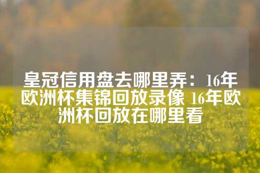 皇冠信用盘去哪里弄：16年欧洲杯集锦回放录像 16年欧洲杯回放在哪里看-第1张图片-皇冠信用盘出租