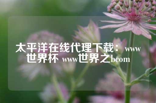 太平洋在线代理下载：www世界杯 www世界之bcom