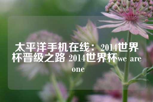 太平洋手机在线：2014世界杯晋级之路 2014世界杯we are one-第1张图片-皇冠信用盘出租