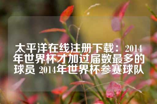 太平洋在线注册下载：2014年世界杯才加过届数最多的球员 2014年世界杯参赛球队-第1张图片-皇冠信用盘出租