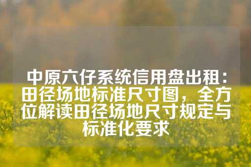 中原六仔系统信用盘出租：田径场地标准尺寸图，全方位解读田径场地尺寸规定与标准化要求