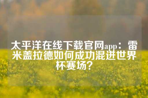 太平洋在线下载官网app：雷米盖拉德如何成功混进世界杯赛场？