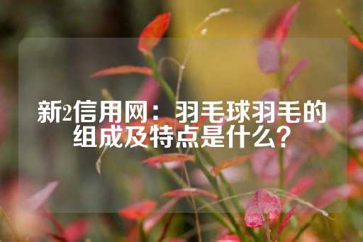 新2信用网：羽毛球羽毛的组成及特点是什么？-第1张图片-皇冠信用盘出租