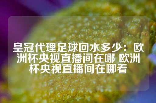 皇冠代理足球回水多少：欧洲杯央视直播间在哪 欧洲杯央视直播间在哪看