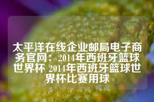 太平洋在线企业邮局电子商务官网：2014年西班牙篮球世界杯 2014年西班牙篮球世界杯比赛用球