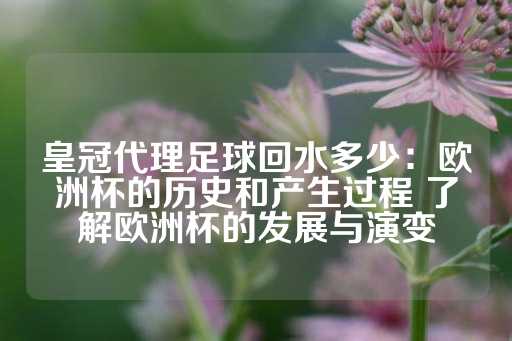 皇冠代理足球回水多少：欧洲杯的历史和产生过程 了解欧洲杯的发展与演变