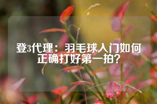 登3代理：羽毛球入门如何正确打好第一拍？