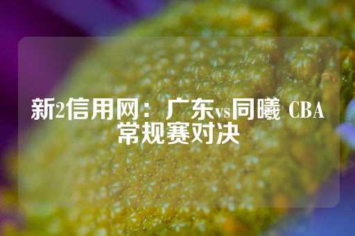 新2信用网：广东vs同曦 CBA常规赛对决