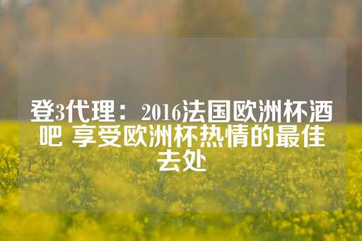 登3代理：2016法国欧洲杯酒吧 享受欧洲杯热情的最佳去处