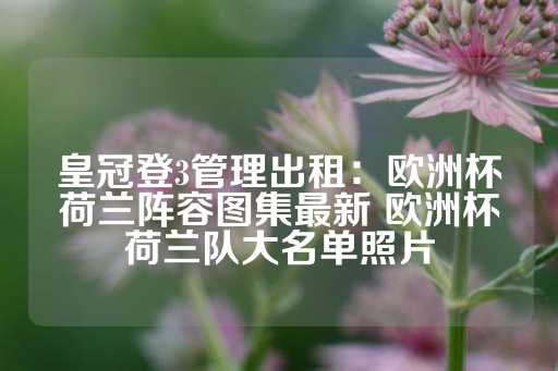 皇冠登3管理出租：欧洲杯荷兰阵容图集最新 欧洲杯荷兰队大名单照片-第1张图片-皇冠信用盘出租