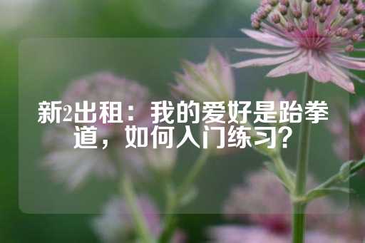 新2出租：我的爱好是跆拳道，如何入门练习？-第1张图片-皇冠信用盘出租