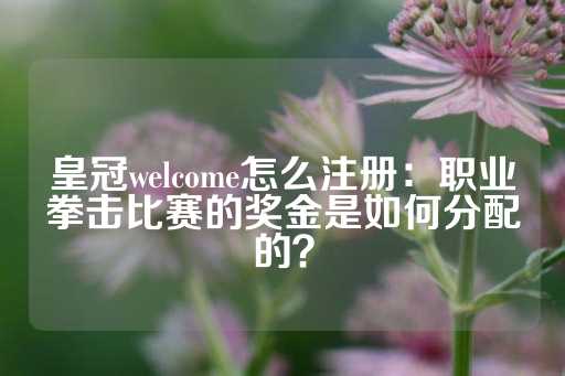 皇冠welcome怎么注册：职业拳击比赛的奖金是如何分配的？