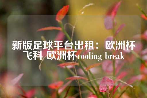 新版足球平台出租：欧洲杯飞科 欧洲杯cooling break