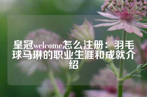 皇冠welcome怎么注册：羽毛球马琳的职业生涯和成就介绍-第1张图片-皇冠信用盘出租