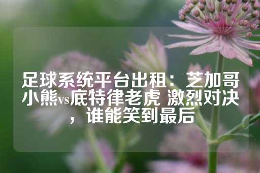 足球系统平台出租：芝加哥小熊vs底特律老虎 激烈对决，谁能笑到最后