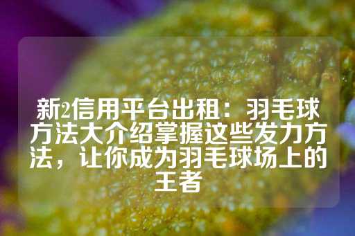 新2信用平台出租：羽毛球方法大介绍掌握这些发力方法，让你成为羽毛球场上的王者