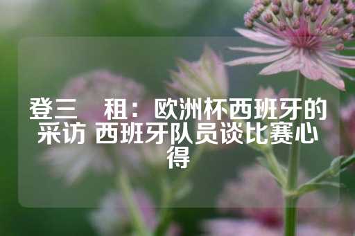 登三岀租：欧洲杯西班牙的采访 西班牙队员谈比赛心得