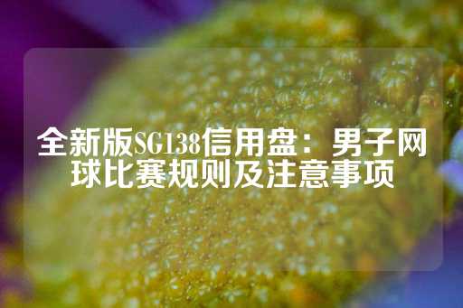 全新版SG138信用盘：男子网球比赛规则及注意事项