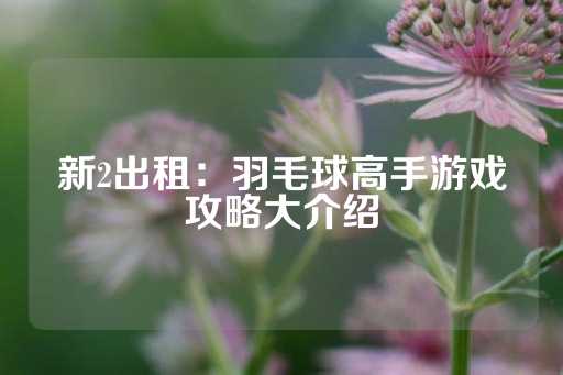 新2出租：羽毛球高手游戏攻略大介绍