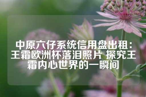 中原六仔系统信用盘出租：王霜欧洲杯落泪照片 探究王霜内心世界的一瞬间