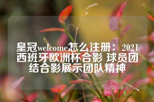 皇冠welcome怎么注册：2021西班牙欧洲杯合影 球员团结合影展示团队精神