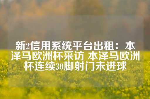 新2信用系统平台出租：本泽马欧洲杯采访 本泽马欧洲杯连续30脚射门未进球-第1张图片-皇冠信用盘出租