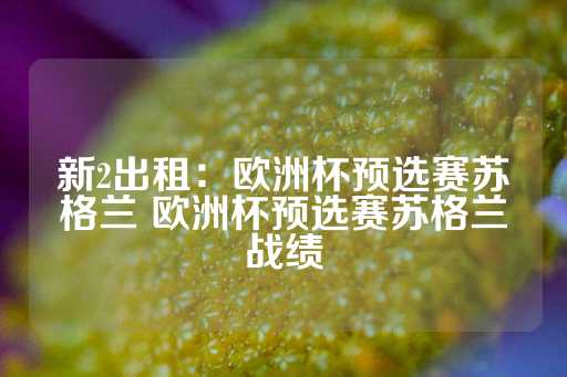 新2出租：欧洲杯预选赛苏格兰 欧洲杯预选赛苏格兰战绩