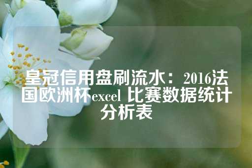 皇冠信用盘刷流水：2016法国欧洲杯excel 比赛数据统计分析表-第1张图片-皇冠信用盘出租