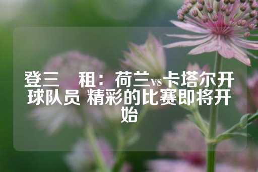 登三岀租：荷兰vs卡塔尔开球队员 精彩的比赛即将开始