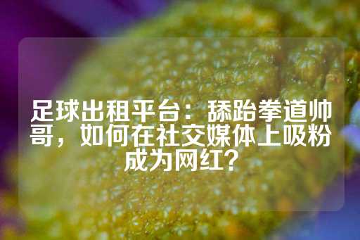 足球出租平台：舔跆拳道帅哥，如何在社交媒体上吸粉成为网红？