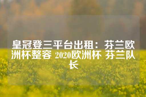 皇冠登三平台出租：芬兰欧洲杯整容 2020欧洲杯 芬兰队长-第1张图片-皇冠信用盘出租