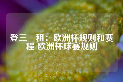 登三岀租：欧洲杯规则和赛程 欧洲杯球赛规则