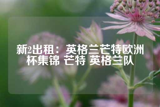 新2出租：英格兰芒特欧洲杯集锦 芒特 英格兰队-第1张图片-皇冠信用盘出租